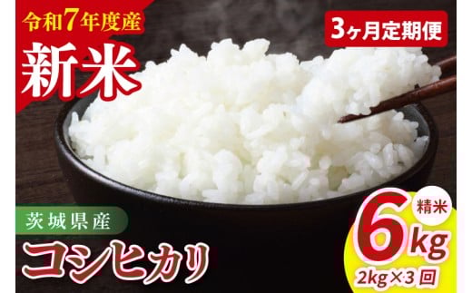【3ヶ月定期便】令和7年産 茨城県産コシヒカリ 精米 2kg【お米 米 こしひかり ごはん 茨城県】(85-94)茨城県阿見町21000米・パン白米