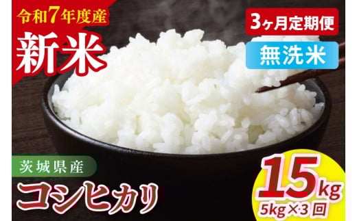 y3ցzߘa7NY 錧YRVqJ@ā@5kgb   ͂  錧 錧Y 錧Yāi85-26j錧42000āEp