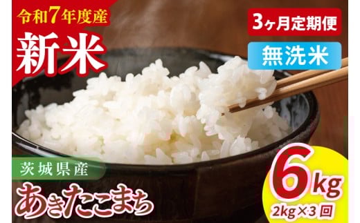 y3ցzߘa7NY 錧Y܂@ā@2kgb   ͂  錧 錧Y 錧Yāi85-43j錧27000āEp