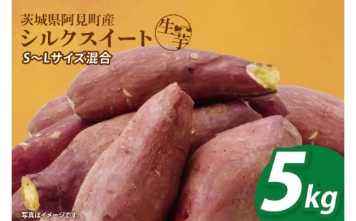 【12月下旬より順次発送】さつまいも シルクスイート5kg【甘藷 甘い さつま芋 サツマイモ 薩摩芋 茨城県産 茨城県 阿見町】(90-03)茨城県阿見町6000野菜・きのこじゃがいも・イモ類
