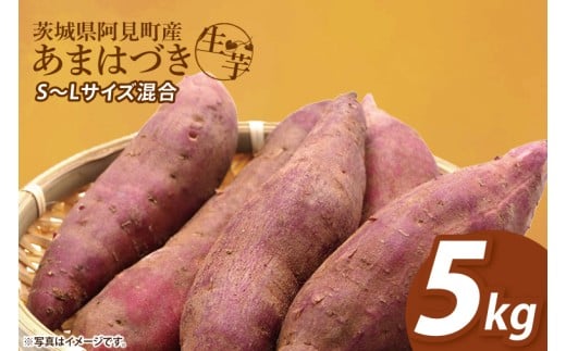 【12月下旬より順次発送】さつまいも あまはづき5kg【甘藷 甘い さつま芋 サツマイモ 薩摩芋 茨城県産 茨城県 阿見町】(90-02)茨城県阿見町6000野菜・きのこじゃがいも・イモ類