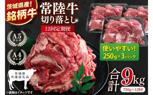 y錧ʕԗizy12ցz헤؂藎Ƃ 750gi250g×3jyјa Y    Ⓚ 錧Yz(81-29)錧108000