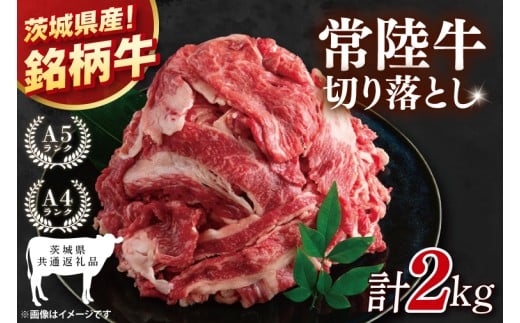 y錧ʕԗizeʁI헤؂藎Ƃ 2kgi500g×4jyјa Y    Ⓚ 錧Yz(81-34)錧24000