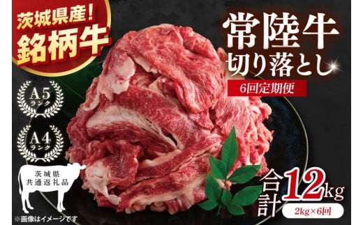 【茨城県共通返礼品】【6ヶ月定期便】大容量!常陸牛切り落とし 2kg(500g×4)【黒毛和牛 国産 銘柄牛 牛肉 肉 冷凍 茨城県産】(81-36)茨城県阿見町144000肉牛肉