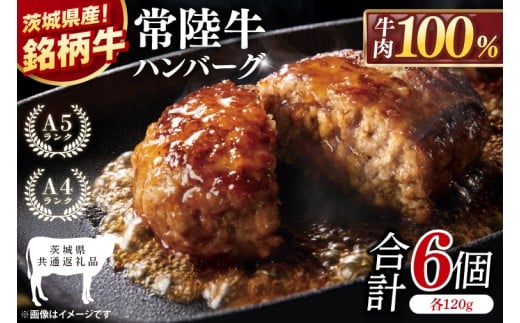 【茨城県共通返礼品】常陸牛100% ハンバーグ 120g×6個【黒毛和牛 牛肉 銘柄牛 真空 小分け 個包装 冷凍 茨城県 阿見町】(81-46)茨城県阿見町9000肉牛肉