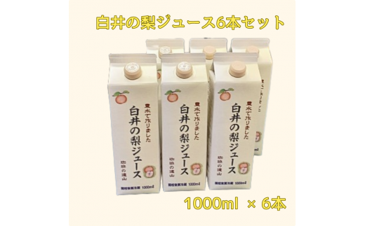 R ̗W[X 1,000ml 6{Zbg ʏ`100% Xg[gW[Xts23000Eʏ`E؈