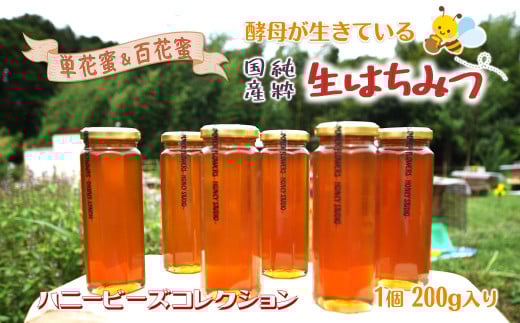 はちみつ 国産 非加熱 ハニービーズコレクション “しろいの季節”のはちみつ 200g 純粋生はちみつ千葉県白井市11000鍋セット・総菜・加工食品ジャム・はちみつ