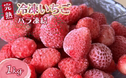 冷凍いちご 1kg バラ凍結 栽培期間中農薬不使用 ヘタ取り済み 急速低温冷凍 真空パック千葉県白井市9000果物・フルーツいちご