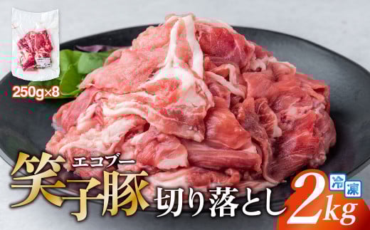 豚肉 切り落とし 小分け 2kg (250g×8) 真空パック 冷凍 笑子豚  岩手県 金ケ崎町岩手県金ケ崎町23000肉豚肉