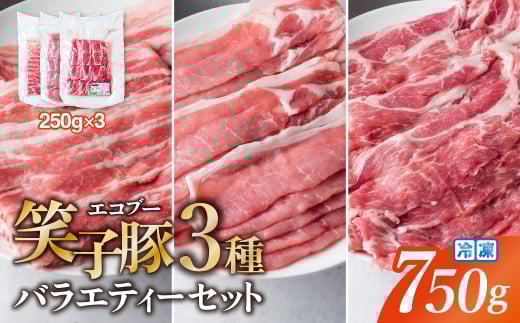 【お試し】豚肉 小分け 真空パック 冷凍 スライス肉 3種 バラエティーセット 750g (250g×3袋)  炒め物/焼肉用(厚さ3mm)  笑子豚 エコブー岩手県金ケ崎町10000肉豚肉