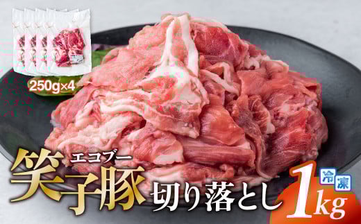 豚肉 切り落とし 小分け 1kg (250g×4) 真空パック 細切れ 豚こま肉 冷凍 笑子豚  お試し 便利 岩手県 金ケ崎町岩手県金ケ崎町12000肉豚肉