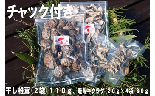 干し椎茸(110g)、乾燥キクラゲ(40g) セット群馬県高山村8000野菜・きのこきのこ