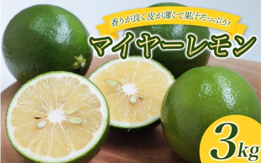 はぎファームのマイヤーレモン 3kg 【2025年10月〜2026年1月下旬の期間で順次発送】 / レモン 国産 マイヤーレモン 数量限定三重県紀宝町9000果物・フルーツみかん・柑橘類
