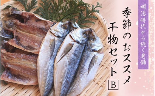 季節のおすすめ干物セットB  三重県紀宝町産 ※季節によって内容が異なります / ひもの 干物 みりん干し 開き 丸干し 詰め合わせ イカ さんま カマス しらす いわし アジ 冷蔵三重県紀宝町22
