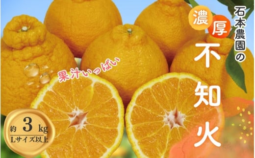 Lサイズ以上 石本農園の不知火3kg【2026年3月初旬から下旬までに順次発送】 / みかん ミカン 蜜柑 不知火 デコポン三重県紀宝町10000果物・フルーツみかん・柑橘類