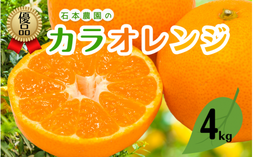 M以上優品 石本農園のカラオレンジ 約4kg【2026年4月初旬から下旬までに順次発送】 / みかん ミカン 蜜柑 カラ カラオレンジ三重県紀宝町14000果物・フルーツみかん・柑橘類