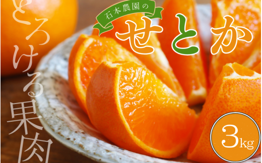 石本農園の ハウスせとか 約3kg  (2L or 3L 9玉〜12玉)【2026年2月中旬から下旬に順次発送】 / せとか みかん ミカン 蜜柑 柑橘 果物 くだもの フルーツ 予約 人気 ジューシー 甘い三重県紀宝町14000