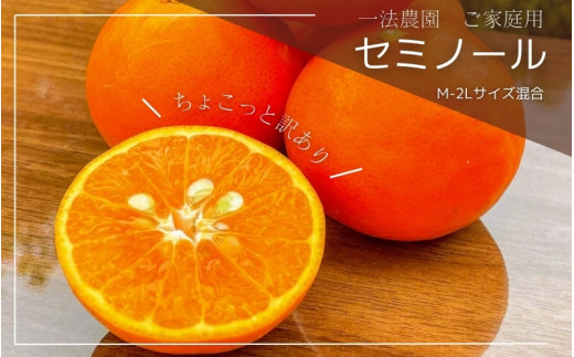 一法農園のセミノール ご家庭用 M-2Lサイズ 5kg ちょこっと訳あり【2026年4月上旬〜4月下旬までに順次発送】 / みかん ミカン 蜜柑 セミノール フルーツ 柑橘 果物三重県紀宝町13000果物・フル