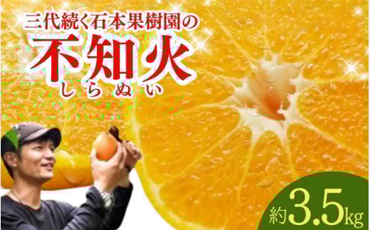 【先行予約】石本果樹園の美味しい 不知火 約3.5kg 8〜12玉前後【2月初旬から2月下旬までに順次発送】 / みかん フルーツ くだもの 果物 デコポン 不知火三重県紀宝町15000果物・フルーツみか
