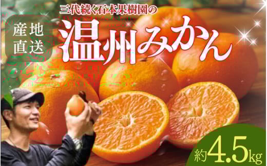 【先行予約】石本果樹園の美味しい温州みかん 約4.5kg 35〜40玉前後【11月初旬から2月下旬までに順次発送】 / みかん フルーツ くだもの 果物 温州みかん三重県紀宝町15000果物・フルーツみか