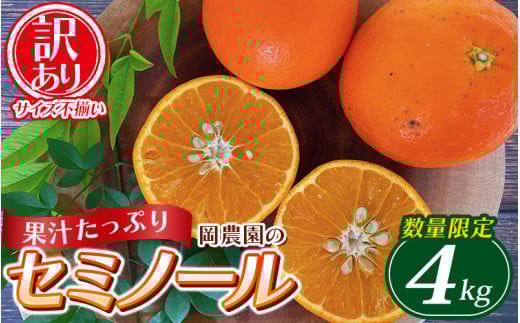 訳あり品 サイズ混合 ご家庭用 岡農園のセミノール4kg【2026年3月下旬から4月下旬までに順次発送】 / セミノール わけあり 訳あり 家庭用 みかん 蜜柑 数量限定 ミカン三重県紀宝町7000果物・