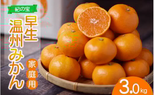 訳あり品 ご家庭用 たにぐち農園の早生温州みかん(マルチ栽培) 3kg【2025年11月中旬〜12月中旬に順次発送】 / わけあり 訳あり ご家庭用 家庭用 不揃い 早生 温州 みかん 蜜柑三重県紀宝町9000