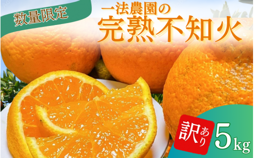 一法農園の完熟不知火 ご家庭用 ちょこっと訳あり M-3Lサイズ混合 5kg【2026年2月上旬〜3月下旬までに順次発送】 / みかん ミカン 蜜柑 不知火 デコポン三重県紀宝町13000果物・フルーツみか