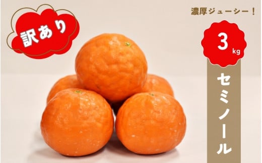【先行予約】橋本農園の 訳あり セミノール 3kg 【2026年3月中旬から4月中旬に順次発送】 / セミノール 柑橘 フルーツ 果物 くだもの 先行予約 訳あり三重県紀宝町6000果物・フルーツみかん・