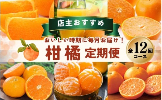 【全12回】 柑橘 定期便 石本果樹園 店主おすすめの柑橘セットを毎月お届け! /  フルーツ 果物 くだもの 柑橘 フルーツ定期便 くだもの定期便 定期便 フルーツセット くだものセット みか