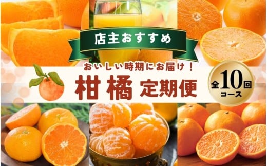【全10回】 柑橘 定期便 石本果樹園 店主おすすめの柑橘セットをお届け! /  フルーツ 果物 くだもの 柑橘 フルーツ定期便 くだもの定期便 定期便 フルーツセット くだものセット みかん ミ