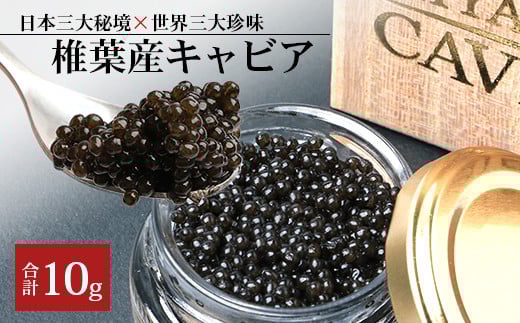 【桐箱入り】HEIKE CAVIAR 10g フレッシュキャビア【世界三大珍味×日本三大秘境】[宮崎 椎葉 国産 ちょうざめ チョウザメ きゃびあ キャビア 10g 魚卵 卵 お酒 魚介 珍味 加工品 冷凍 高級 贅
