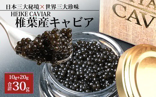 【桐箱入り】HEIKE CAVIAR 30g【宮崎県 椎葉村】【世界三大珍味×日本三大秘境】[宮崎 椎葉 国産 きゃびあ キャビア 30g 魚卵 卵 ちょうざめ チョウザメ お酒 魚介 珍味 加工品 冷凍 高級 贅沢