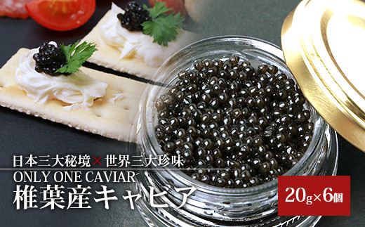 HEIKE CAVIAR 20g×6個【合計120g】【世界三大珍味×日本三大秘境】[宮崎 椎葉 国産 きゃびあ キャビア チョウザメ 魚卵 卵 魚介 珍味 加工品 冷凍 高級 贅沢 お取り寄せグルメ ディナー パーテ
