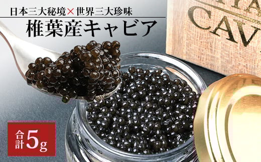y˔zHEIKE CAVIAR  5 yEO咿×{O鋫zm{ ŗt Y 傤 `EU т LrA 5g   N[~[    Hi Ⓚ  ґ O