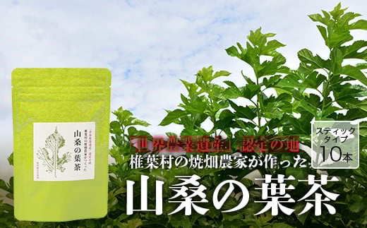 【世界農業遺産の産物】焼畑農家がつくった山桑の葉茶 スティックタイプ【桑茶】[ 宮崎県 椎葉村 椎葉 日本三大秘境 秘境 焼畑 やきはた 茶 お茶 山桑の葉茶 葉茶 くわ茶 桑茶 手作り 自
