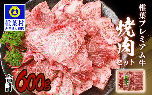 宮崎県産 椎葉プレミアム牛 焼肉セット 600g [宮崎県 椎葉村 国産 国産牛 黒毛和牛 和牛 牛 牛肉 赤身 にく おにく 肉 お肉 冷凍 やきにく 焼肉 焼肉セット セット ごちそう 贈物 日本三大秘