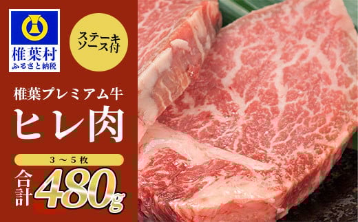 宮崎県産 椎葉プレミアム牛 ヒレ 480g お試しステーキソース付き[宮崎県 椎葉村 国産 国産牛 黒毛和牛 和牛 牛 牛肉 赤身 にく おにく 肉 お肉 ヒレ ステーキ やきにく 焼肉 バーベキュー 冷