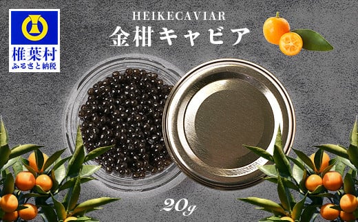 yEO咿×{O鋫zHEIKE CAVIAR  LrA 20g YyYnzyȈՕzm{ ŗt Y 傤 `EU  т LrA 20g     Hi 