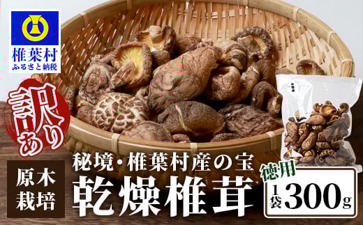 【訳あり】【徳用】秘境・椎葉村産 原木 乾しいたけ 300g[ 宮崎県産 国産 原木椎茸 原木 椎茸 シイタケ しいたけ 乾しいたけ 干し椎茸 原木栽培 産地直送 乾物 きのこ グアニル酸 ビタミンD