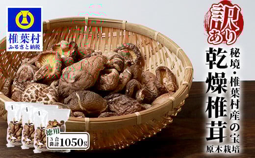 【訳あり】【徳用】秘境・椎葉村産 原木 乾しいたけ 900g(300g×3袋)【森林率96%の村の宝】[ 宮崎県産 国産 原木椎茸 椎茸 シイタケ しいたけ 乾しいたけ 干し椎茸 産地直送 きのこ グアニ