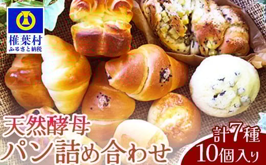 【秘境・椎葉村の愛されパン屋さん】 天然酵母パン 詰め合わせ 7種10個セット【 パン 冷凍 お取り寄せ 天然 酵母 詰め合せ セット 低温 長時間熟成 メロンパン あん塩 バターロール おさつ