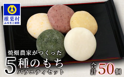 焼畑農家がつくった5種のお餅バラエティセットB(白もち よもぎもち とうきびもち あずきもち あわもち)【日本三大秘境の地「椎葉村」からお届け】 宮崎県 宮崎 椎葉村 椎葉 餅 雑穀 もち