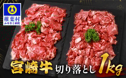 宮崎牛 切り落とし 1kg TK-93 [宮崎県 椎葉村 宮崎牛 和牛 黒毛和牛 牛肉 ぎゅうにく 牛 うし ぎゅう 肉 お肉 にく おにく スライス肉 精肉 切り落とし肉 切り落とし 赤身肉 霜降り肉 1kg 人気 お