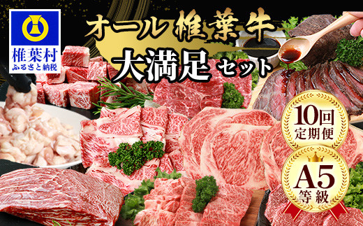 【 定期便 全10回 】 10ヶ月連続でお届け! 牛肉 オール椎葉牛大満足セット 総重量 5,180g 【 日本三大秘境 椎葉村 育ちの黒毛和牛 】[ 牛肉 ステーキ 精肉 ホルモン モモ肉 ヒレ肉 定期便 定期
