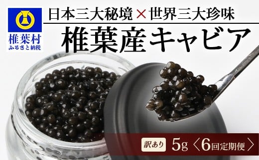 【6回定期便】【訳あり】 国産 キャビア HEIKE CAVIAR  5g × 6回 計30g 【世界三大珍味×日本三大秘境】[ 訳あり 宮崎 椎葉 国産 チョウザメ キャビア 定期便 定期 5g 30g 6回定期 魚卵 卵 お酒 魚介