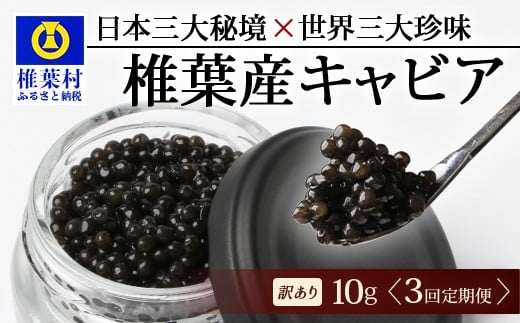 y3ցzy󂠂z Y LrA HEIKE CAVIAR  10g × 3 v30g yEO咿×{O鋫zm 󂠂 { ŗt Y `EU LrA   10g 30g 3    