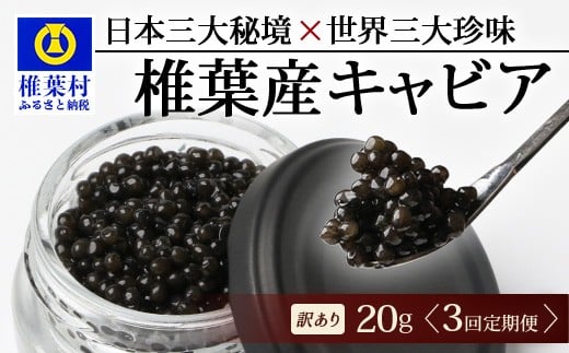 【3回定期便】【訳あり】 国産 キャビア HEIKE CAVIAR  20g × 3回 計60g 【世界三大珍味×日本三大秘境】[ 訳あり 宮崎 椎葉 国産 チョウザメ キャビア 定期便 定期 20g 60g 3回定期 魚卵 卵 お酒 魚