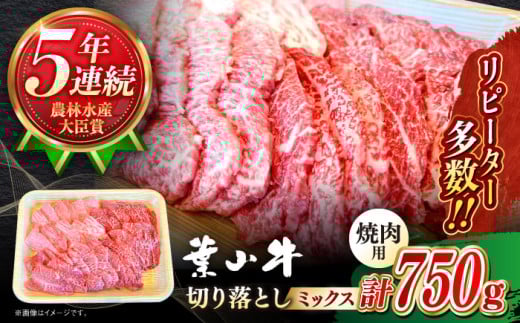 y_ѐYb 5NAܗLztR ēp؂藎Ƃ ~bNX 750g /   јa Ă Jr  BBQ Ԑg ₫ɂytRXe[LXg pԁz [ASBD002]_ސ쌧