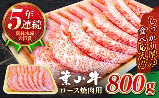 葉山牛 焼肉用 ロース焼肉 約800g 黒毛和牛 焼肉 焼肉用ロース 【農林水産大臣賞 5年連続受賞歴有】 A5ランク 牛肉 肉 お肉 ろーす ロース 焼き肉 焼肉 約800g 神奈川県 葉山町 /【葉山牛ステー