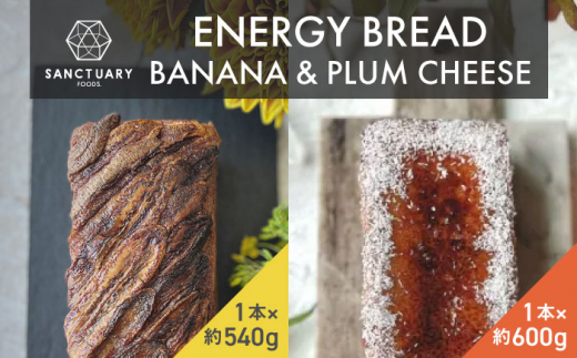 GiuEoiiv`[Y@540g×1{A600g×1{ / XC[c ΂Ȃ Zbg _ސ쌧ySANCTUARY FOODS ()z [ASAH005] wV[ XC[c GiW[`[W  `[YP[L oiiP[L